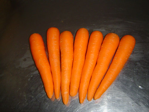 Carrot